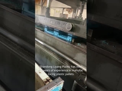 山東Liyangのプラスチック鋳造物Co.、株式会社。